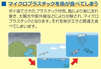 マイクロプラスチックを魚が食べてしまう