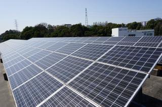 写真：太陽光パネル