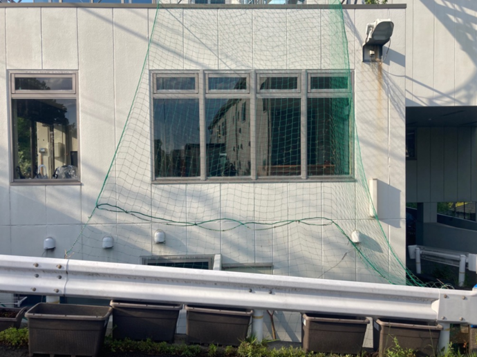 ネット張りの様子