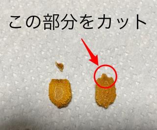 写真：ゴーヤの種の尖ったところをカット