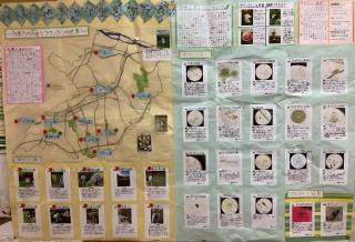 写真：飛びだせ小さな生き物たち