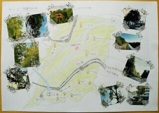 写真：多摩市の木