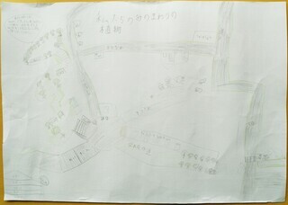 写真：私たちのみのまわりの植物