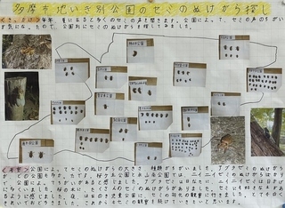 写真：多摩市地域別公園のセミのぬけがら探し