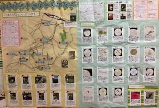 写真：飛びだせ小さな生き物たち