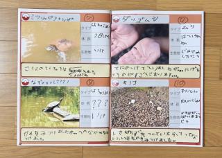 写真：多摩市生き物図鑑と生き物マップ4