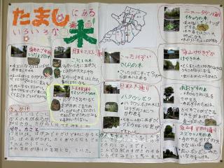 写真：多摩市にあるいろいろな木