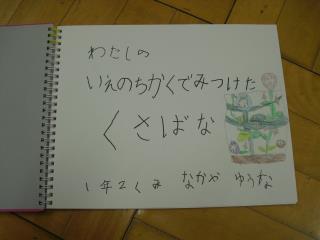 写真：わたしのいえのちかくでみつけたくさばな