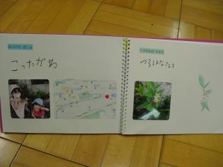 写真：わたしのいえのちかくでみつけたくさばな4