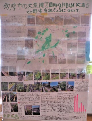 写真：多摩市の大栗川、乞田川の川沿いにある桑の生育状きょうについて