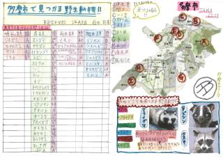 写真：多摩市で見つかる野生動物！！