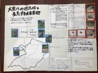 写真：大栗川の現流域と生息する水生生物