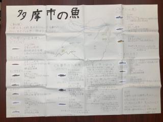 写真：多摩市の魚