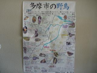 写真：一般社団法人環境情報科学センター理事長賞作品