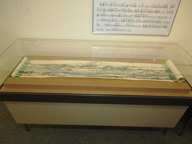 写真：タマガワソウガズ