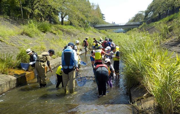 写真：乞田川の恵み（生き物観察会）の様子