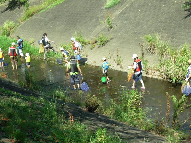 写真：コッタガワイキモノカンサツカイ