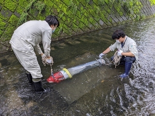 写真：採取の様子