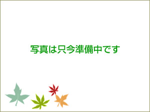 イラスト:写真は只今準備中です