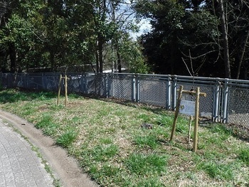 写真：宝野公園