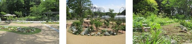 グリーンライブガーデンと山野草エリアの写真