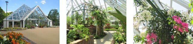 ピラミッドギャラリーの外観と屋内、植物の写真。