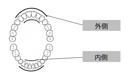 歯面清掃範囲の画像