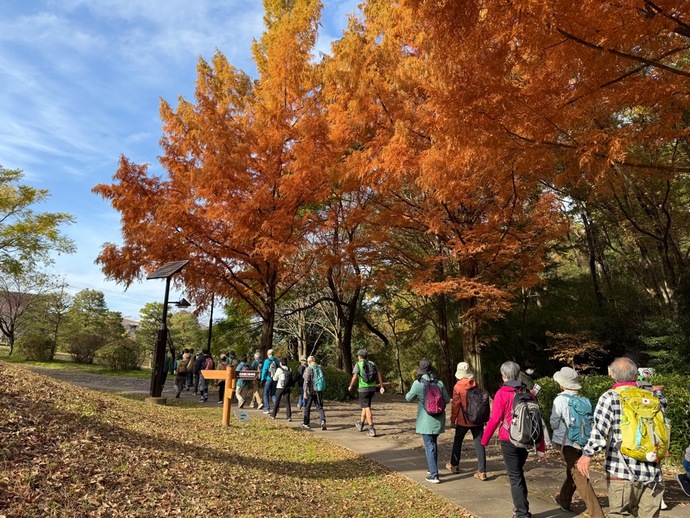 ウォーキング写真