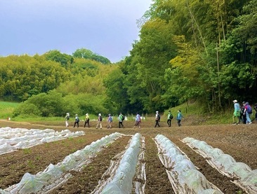 ウォーキング写真