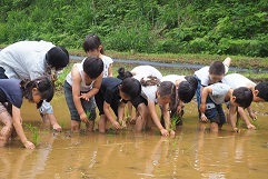 保育所での田植えの様子