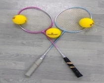 写真：ネオテニス用具