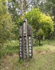 写真：体験林業