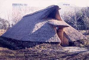 写真：多摩ニュータウンNo.57遺跡（遺跡庭園「縄文の村」）