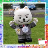 写真:みんなでカウントダウンあと 日、にゃんともTAMA三郎