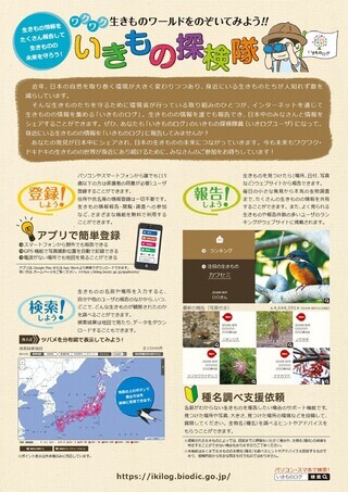 写真：いきものログちらし裏