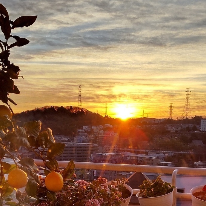 写真:「くらし・あそび・えがお@多摩ニュータウン」フォトコンテスト入選作品 一日の始まり