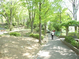 写真：整備前の様子（平成26年度諏訪地区〕