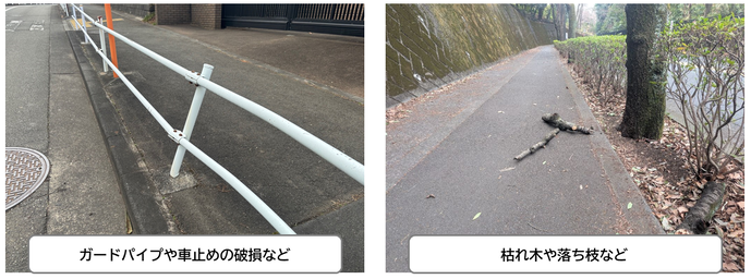 対象となる損傷事例の画像