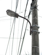 写真：従来の街路灯2