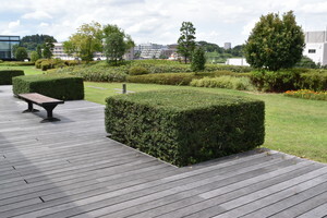 写真：本社3階のルーフガーデン