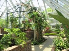 グリーンライブセンターの温室の写真