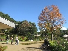 グリーンライブセンターの秋のガーデンの写真