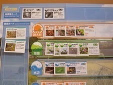 セミの羽化のイラスト