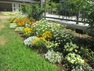 グリーンライブガーデンの花壇の写真