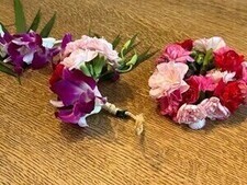 セミの羽化のイラスト