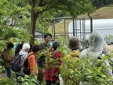 グリーンライブセンターでの自然観察講座の写真