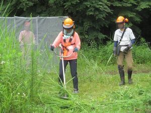 刈払機の実習を受ける受講生の写真