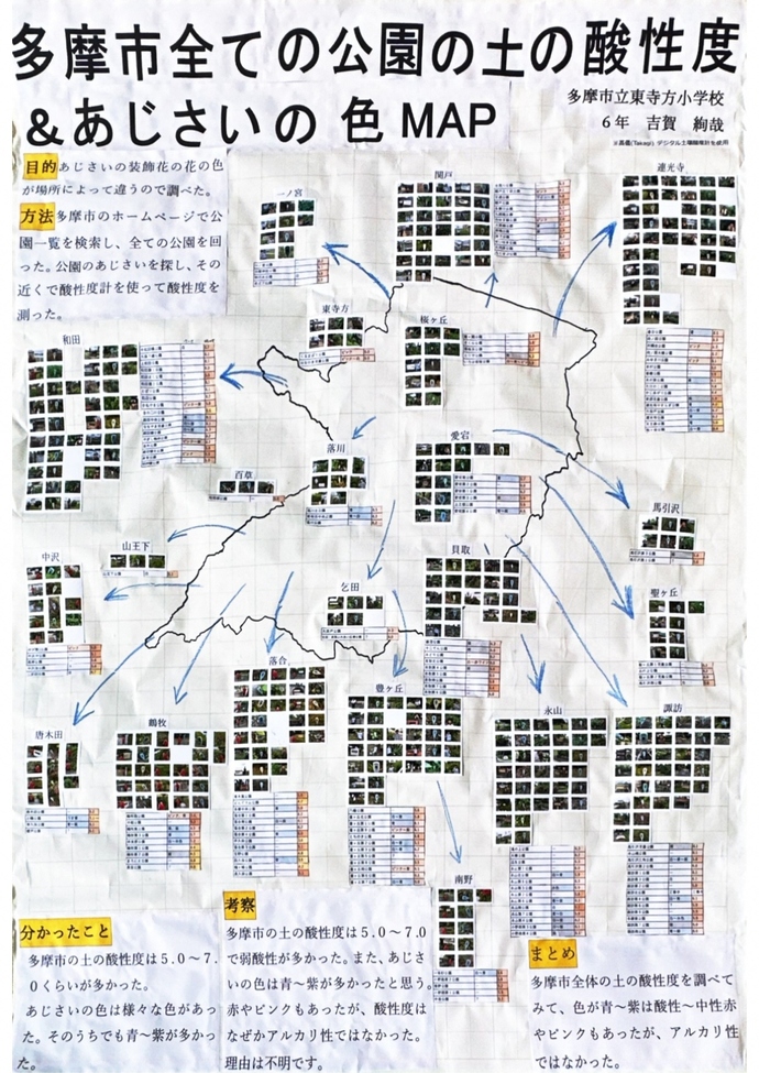 写真：多摩市全ての公園の土の酸性度＆あじさいの色MAP