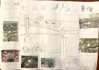 写真:こった川の川ごみとカモ