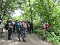 八王子市の長池公園の観察をする講師と受講生の写真